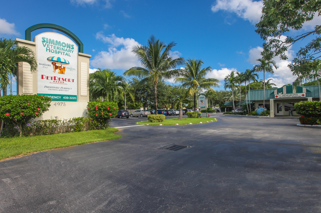 VCA Simmons Animal Hospital
